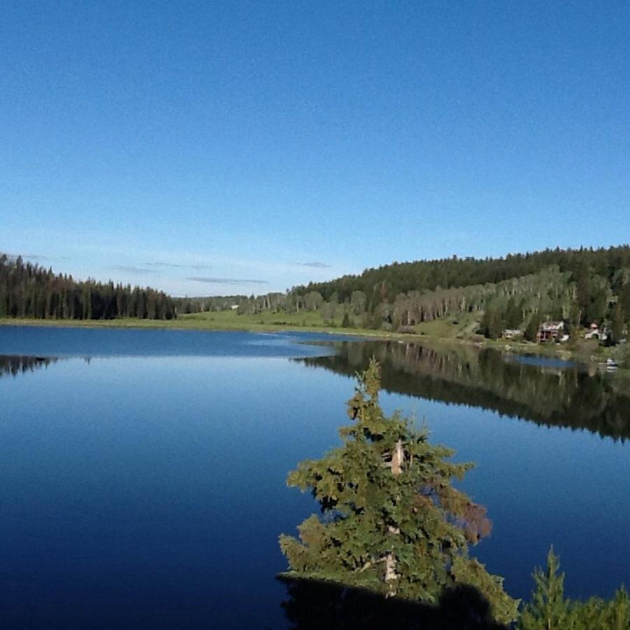 Lac Le Jeune Nature Resort Logan Lake Exterior photo