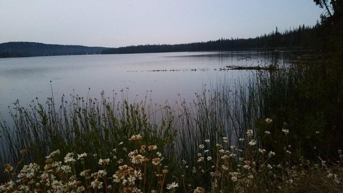 Lac Le Jeune Nature Resort Logan Lake Exterior photo
